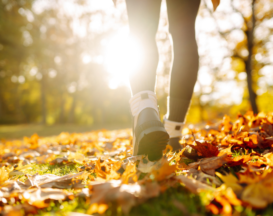 walking_leaves_960x760