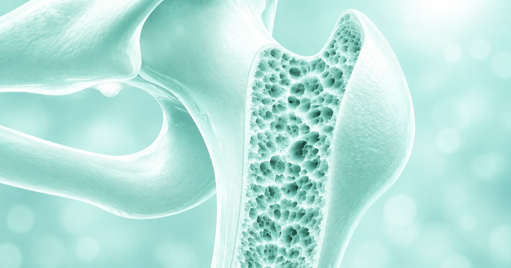 Preparing for your DEXA bone density scan
