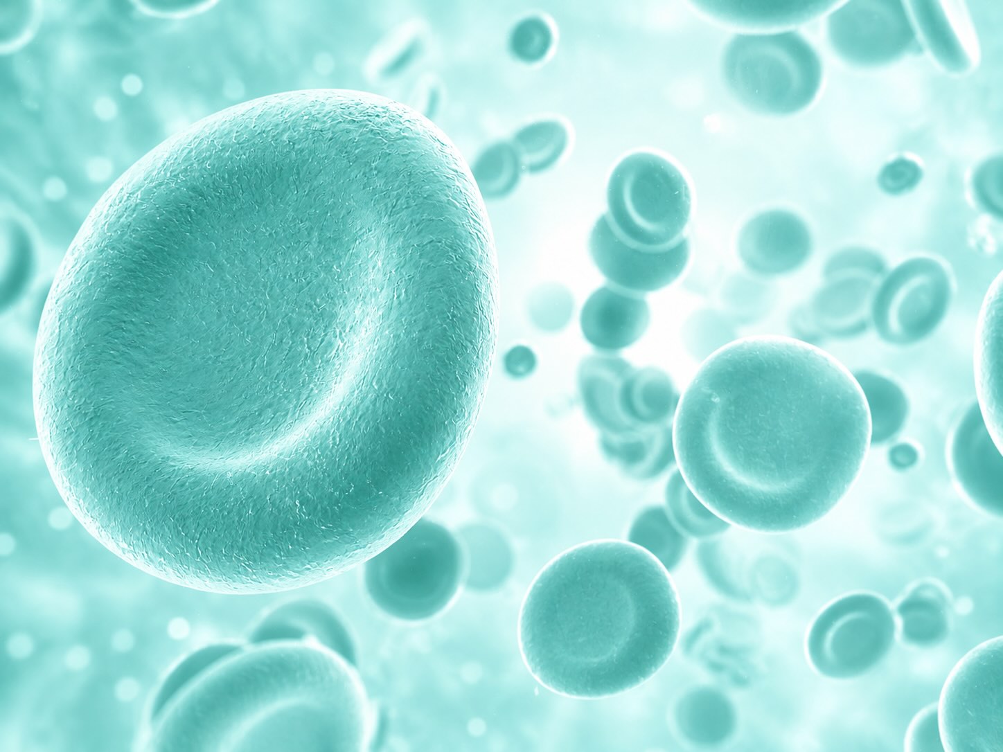 Food Intolerance Test