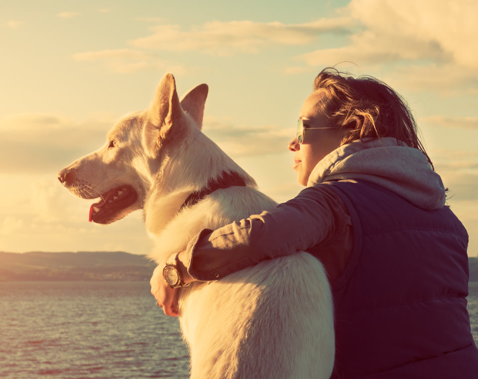 Diabetes content