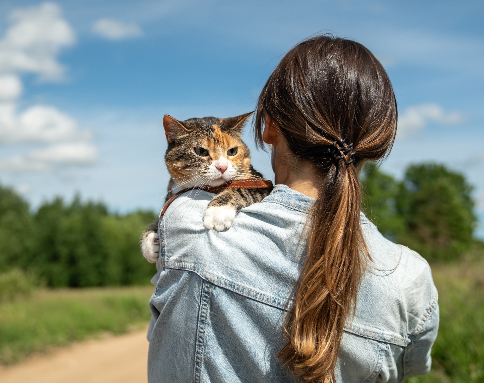Shy Tiger Soothe + Calm Stress Supplement for Cats (110g)
