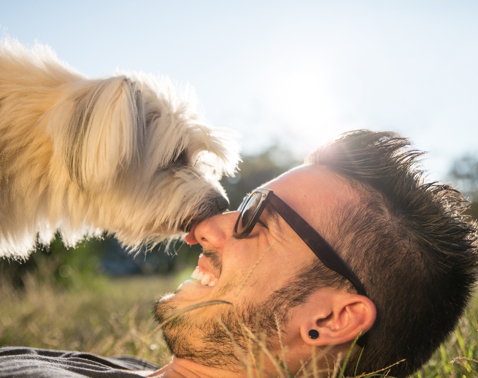 Microbiome Screen – Dogs 2