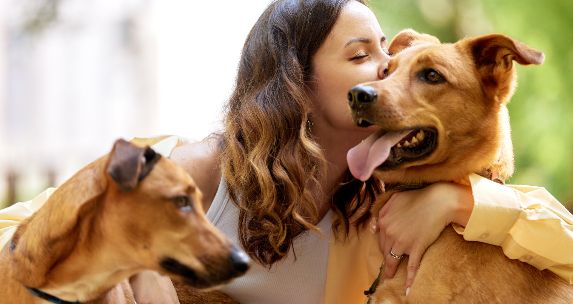 pair_dogs_woman