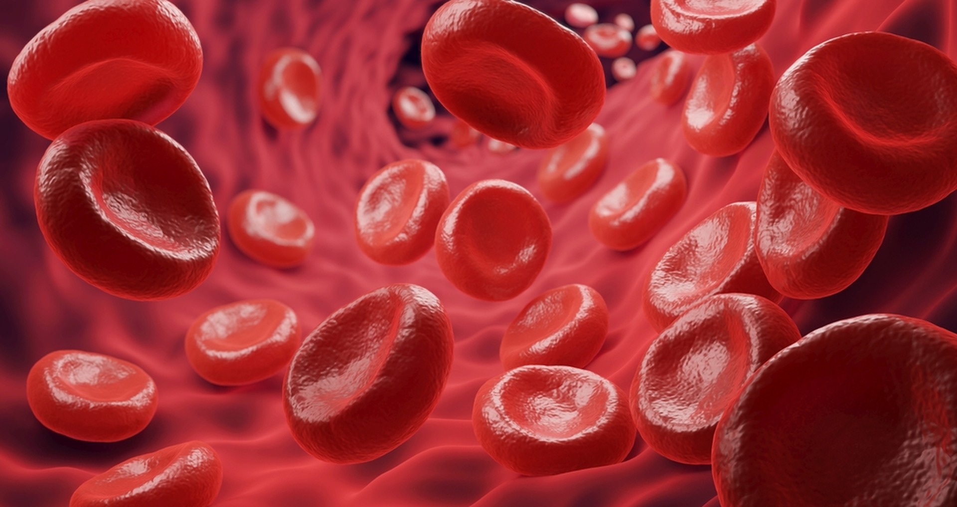 Full Blood Count Test