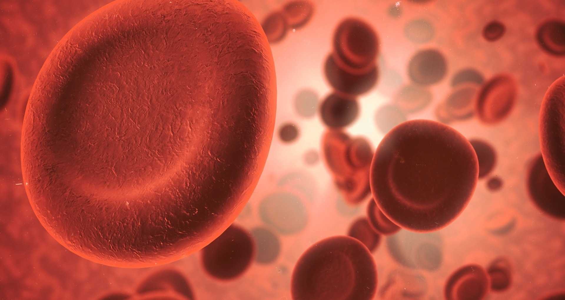 Blood Type Test